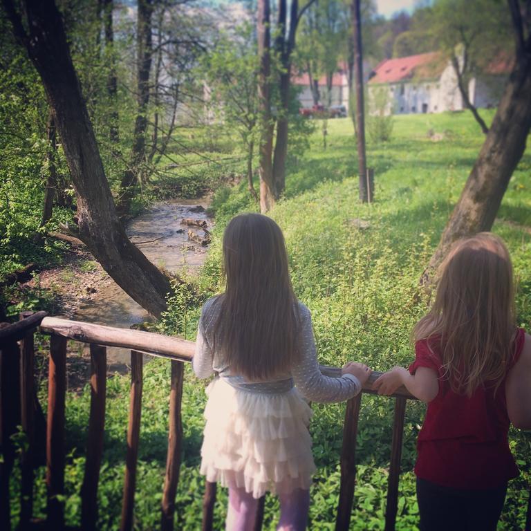 Zamek W Dziegielowie Exterior foto